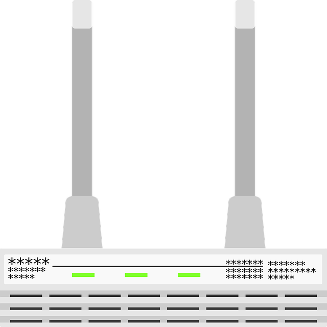šedý router